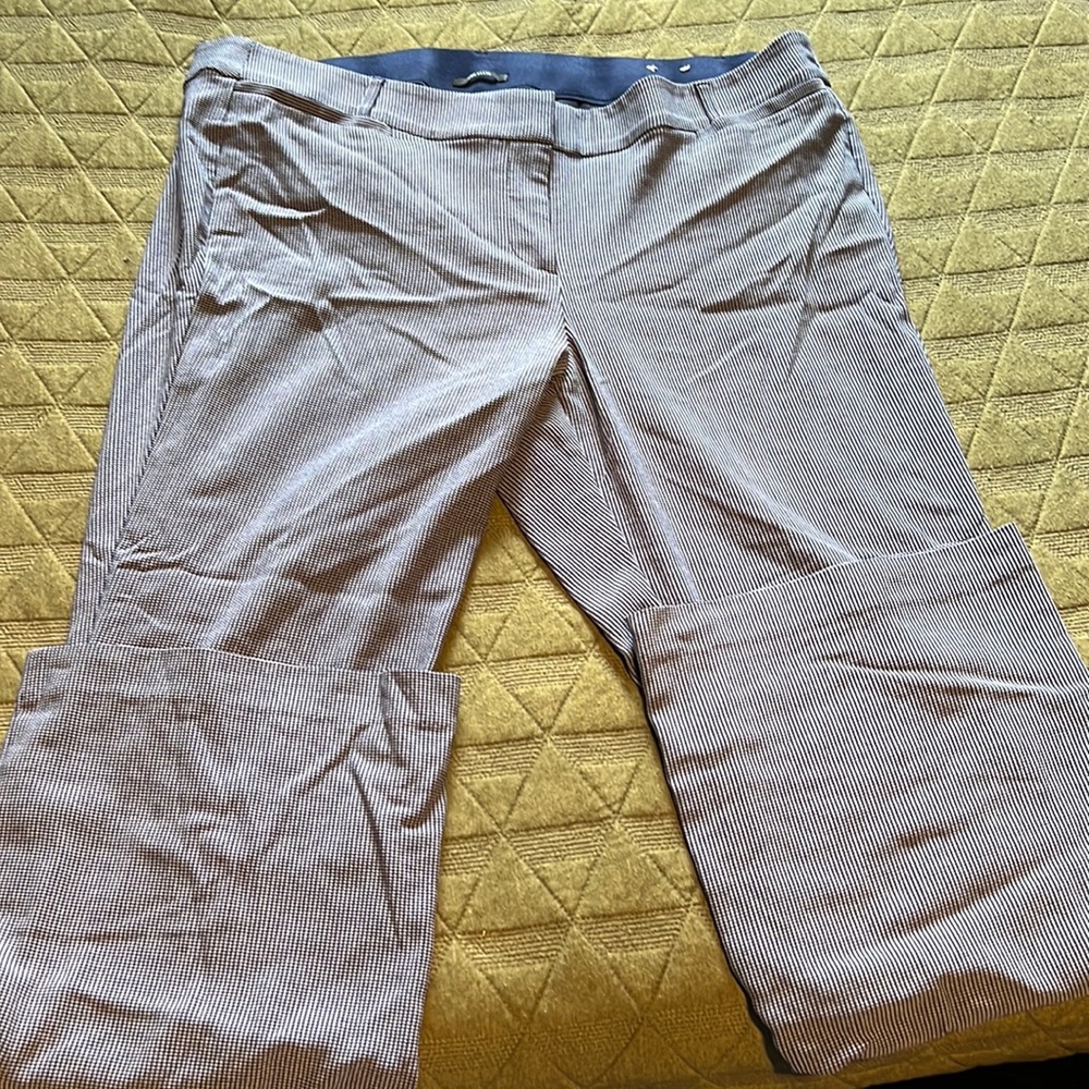 Navy and White Allie Dress Pants, Lane Bryant
